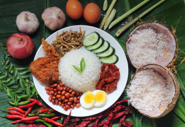 Ilustrasi nasi lemak Foto: Shutterstock