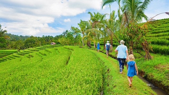  Ilustrasi liburan bareng keluarga. Foto: Shutterstock