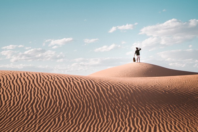 Gurun Pasir Al Wahat Al Dakhla (Sumber: Pexels.com/TarynElliot)