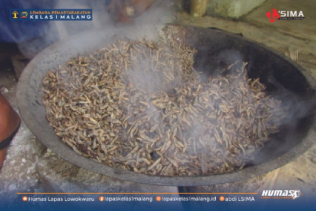 Pengelolahan maggot basah menjadi maggot kering dengan nilai jual yang lebih tinggi/Foto:Rudy/humaslapasmalang