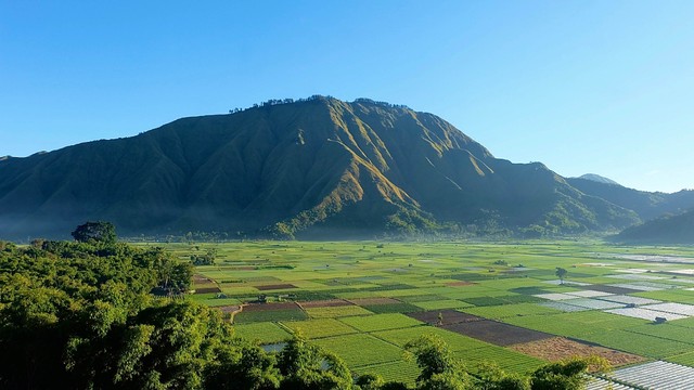 Bukit Selong di Lombok. Foto: Helmy fauzi harharah/Shutterstock