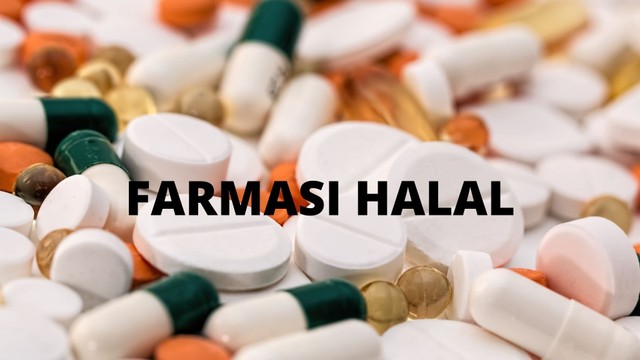 Potensi Dan Tantangan Farmasi Halal Di Indonesia Dan Malaysia ...