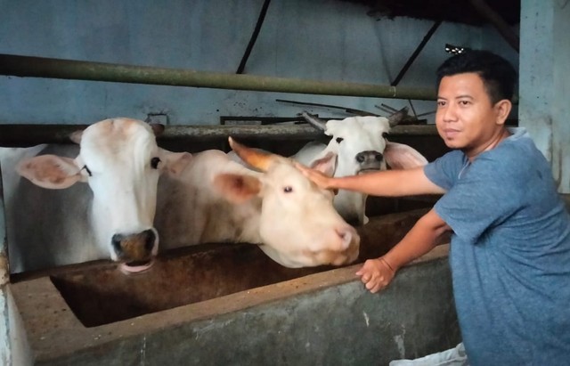 RPH di Cirebon Jawa Barat.(Juan)