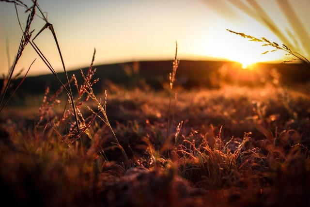 Kata kata motivasi senja,	Foto: Maxim Matveev/Pexels