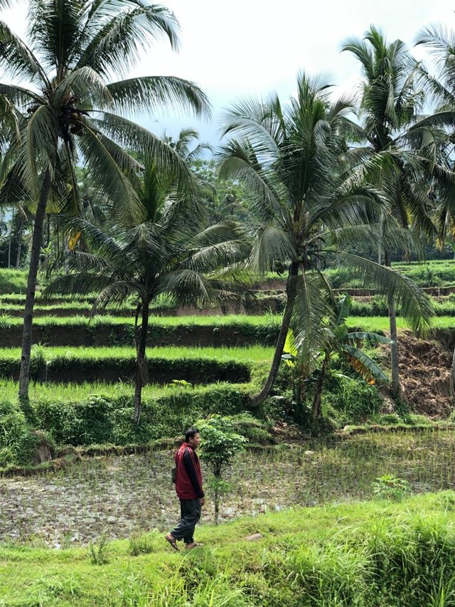 Sumber: Koleksi Pribadi