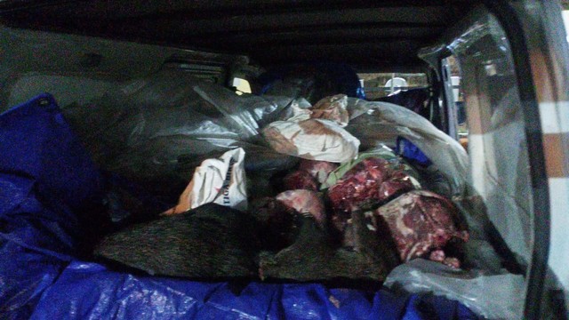 Daging celeng yang akan diselundupkan ke Bekasi. | Foto: Ist