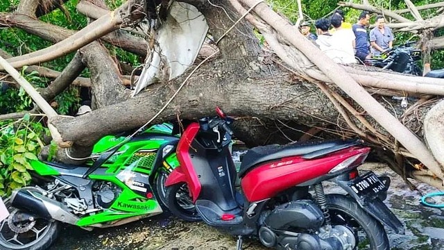 Pohon tumbang di Pulogadung, Jakarta Timur, Senin (4/4/2022) Foto: Instagram/@humasjakfire