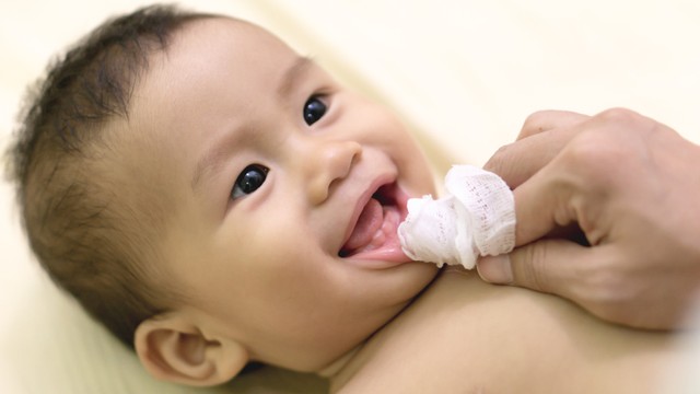 Tisu gigi bayi. Foto: BonNontawat/shutterstock