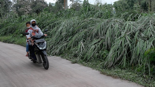 Pengendara melintas di jalan yang diselimuti abu vulkanik erupsi gunung Merapi di Desa Babadan, Dukun, Magelang, Jawa Tengah, Kamis (10/3/2022). Foto: Anis Efizudin/Antara Foto