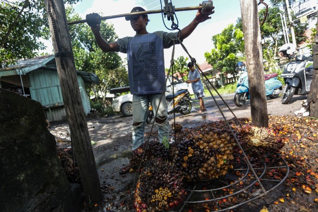 Pekerja mengumpulkan buah kelapa sawit di salah satu tempat pengepul kelapa sawit di Jalan Mahir Mahar, Palangka Raya, Kalimantan Tengah, Selasa (26/4/2022). Foto: Makna Zaezar/Antara Foto