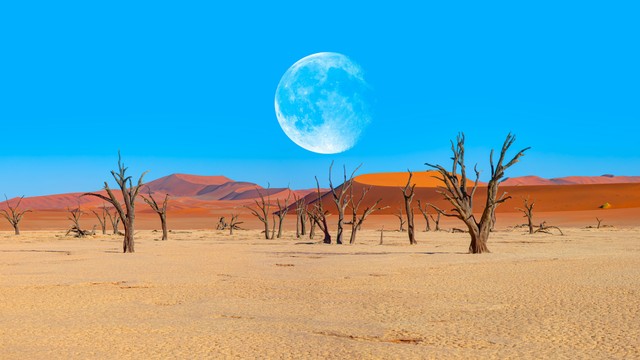 Ilustrasi Gurun Namib di Afrika. Foto: muratart/Shutterstock