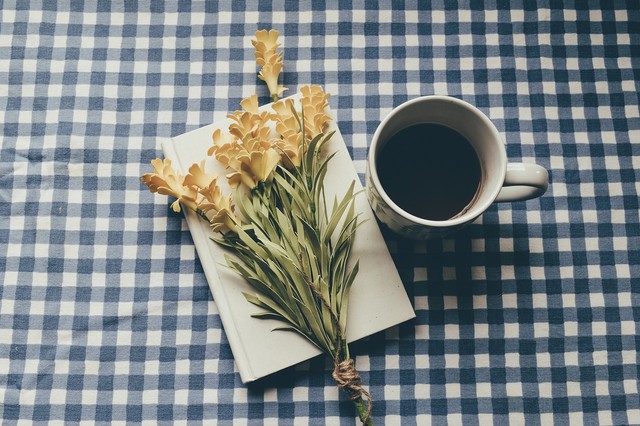 Ilustrasi rekomendasi film Jepang bergenre slice of life. Foto: Pixabay.