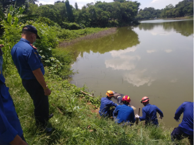 Dinas Pemadam Kebakaran. dan Penyelamatan Kota Depok melakukan evakuasi mayat di Danau Buperta Cibubur, Kecamatan Cimanggis, Kota Depok. (Istimewa).