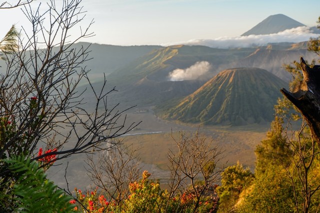 Struktur Cerkak Bahasa Jawa beserta Unsur dan Contohnya | kumparan.com