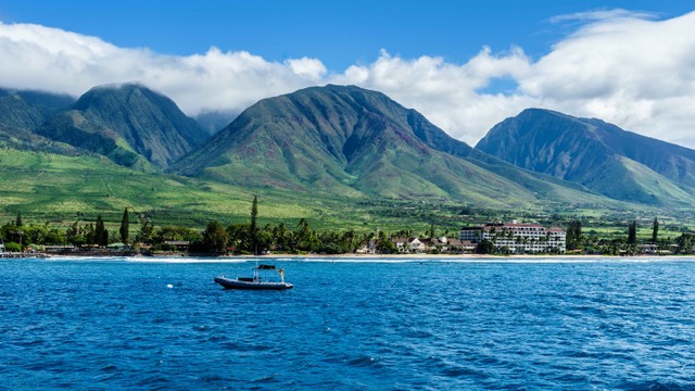 Ilustrasi Pulau Maui. Foto: Francois Seuret/Shutterstock