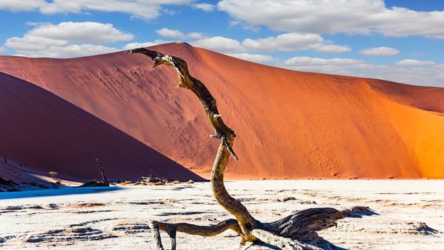 Ilustrasi Gurun Namib di Afrika. Foto: kavram/Shutterstock