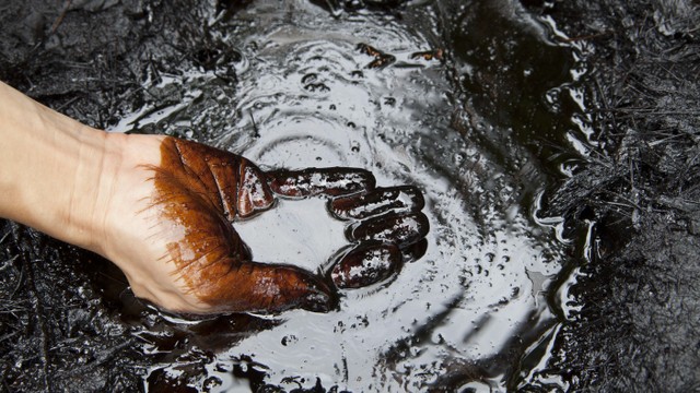 Ilustrasi minyak mentah. Foto: Alexander Knyazhinsky/Shutterstock