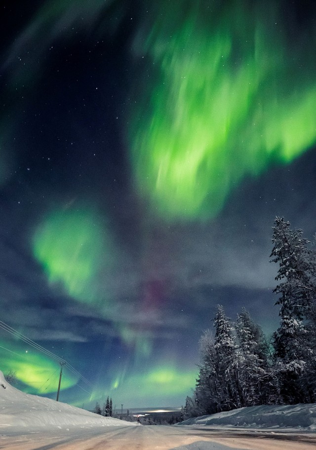 Aurora terlihat di langit di Pajala, Swedia, Kamis (10/2/2022). Foto: Alexander Kuznetsov/REUTERS