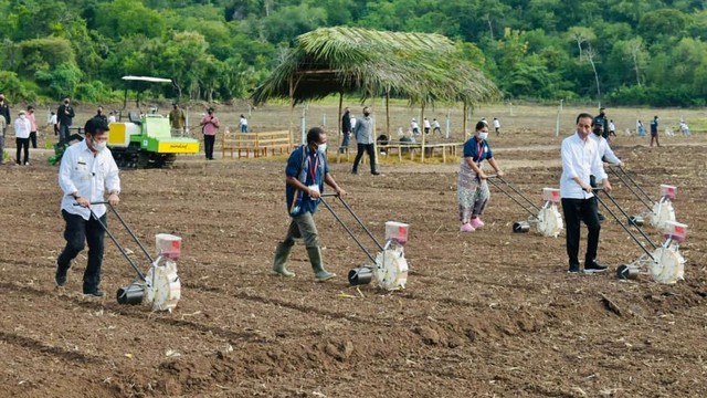Dorong KUR Sektor Pertanian Terserap, Kementan Latih Sejuta Petani dan Penyuluh (26315)