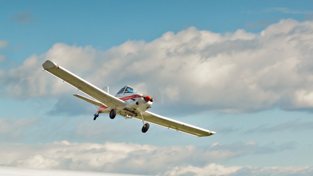  Ilustrasi pesawat yang tengah mengudara. Foto: Shutterstock