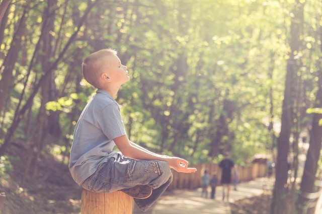 Fungsi vitamin D untuk kesehatan tubuh. Foto: Unsplash