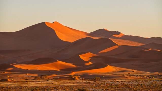 Ilustrasi Gurun Namib di Afrika. Foto: Xiu Yu Photography/Shutterstock