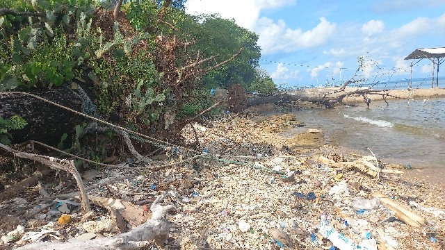 Mengutuk Kampung Halaman (10507)