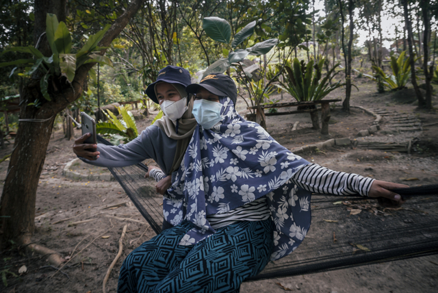 Bukit Pinteir di Kabupaten Bangka Tengah. Foto: Jamal Ramadhan/kumparan