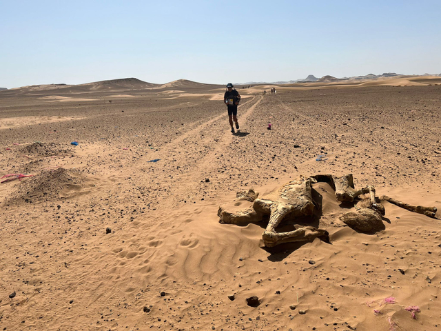 Suasana balapan Ultramarathon (Marathon des Sables 2021) di Gurun Sahara, Maroko. Foto: Dok Pribadi Omar Agoes