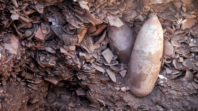 Sisa-sisa Pabrik Wine yang berusia 1.500 Tahun. Foto: Nir Elias/REUTERS