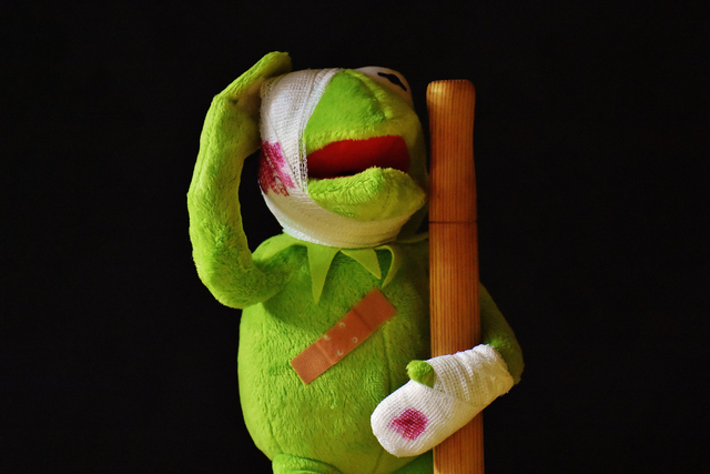 https://pixabay.com/photos/kermit-injured-pavement-association-2001219/