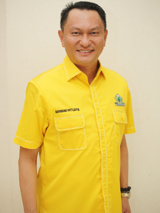 Anggota DPR RI dapil Bangka Belitung, Bambang Patijaya.