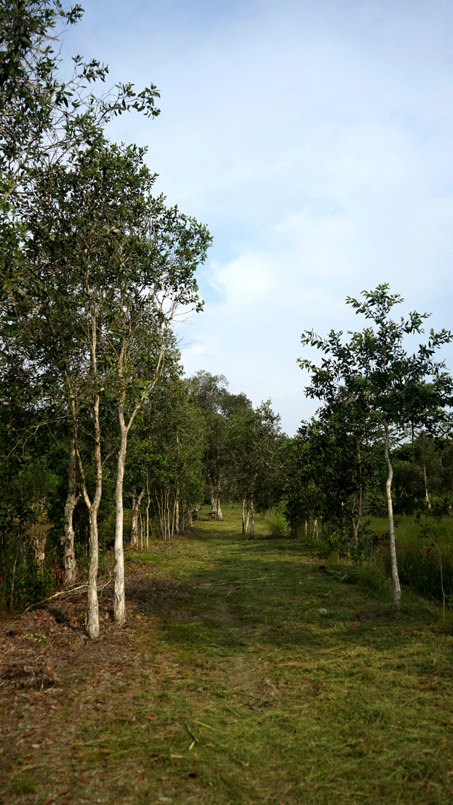 Potret Wisata Camping Ground Kampung Gelam Palembang (235605)