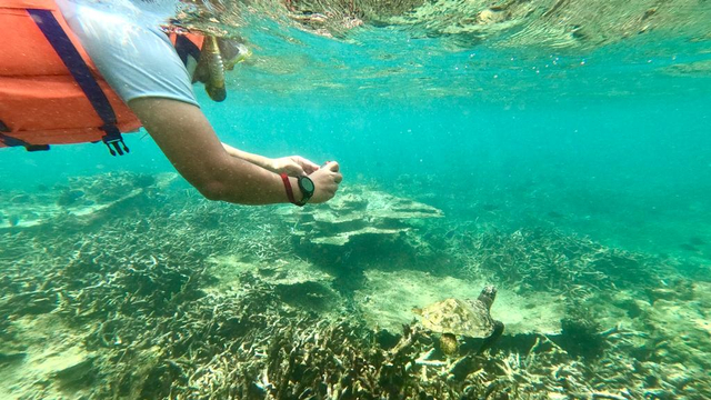 Foto: Anugerah Tuhan di Pulau Tuan, Aceh Besar (74977)