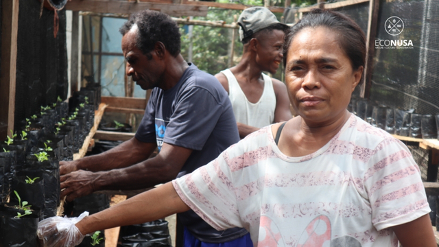 Warga Kampung Mai Mai, Kaimana, Papua Barat menanam sayur di halaman rumah. Foto: EcoNusa
