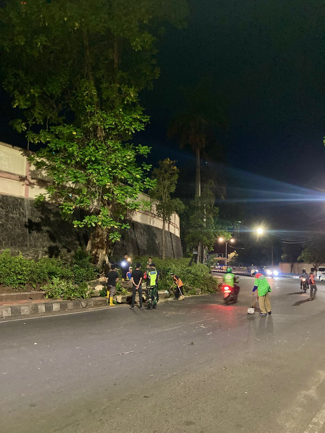 Tumbang, Pohon di Dekat Stadion Pahoman, Bandar Lampung, Timpah Pengendara (1)