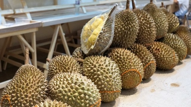 Ketika Bule Cium Bau Durian, Langsung Telepon Kontak Darurat Dikira Gas  Bocor | kumparan.com