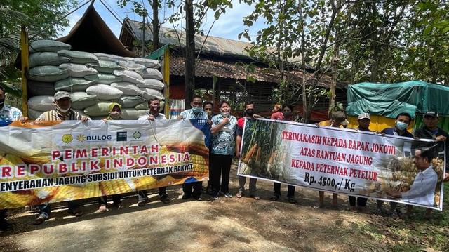 Warga menerima bantuan Jagung Subsidi dari pemerintah untuk peternak petelur. Foto: Dok. Bulog
