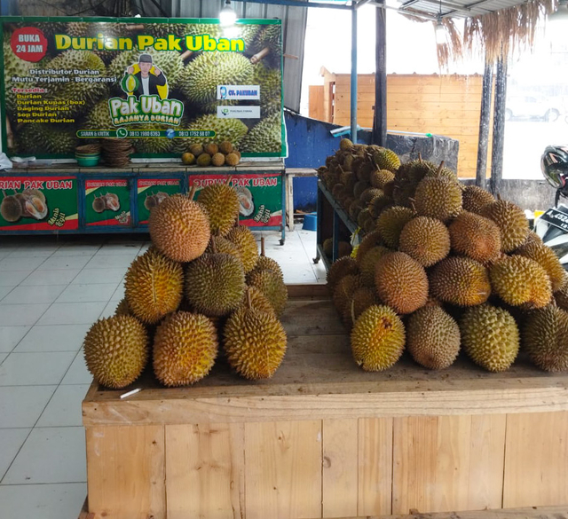Durian Pak Uban / Foto : Farida