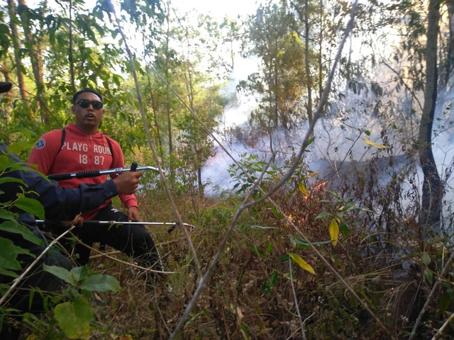 Kebakaran Hutan di Gunung Batur Bali Padam, Jalur Pendakian Ditutup (321714)