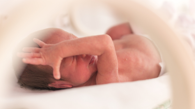 Ilustrasi bayi prematur. Foto: Shutter Stock