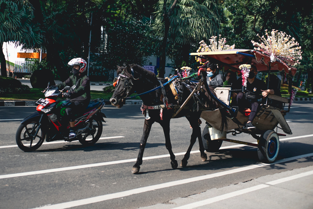 Pemilik delman membawa pengunjung berkeliling kawasan Monas, Jakarta, Minggu (24/10).  Foto: Iqbal Firdaus/kumparan