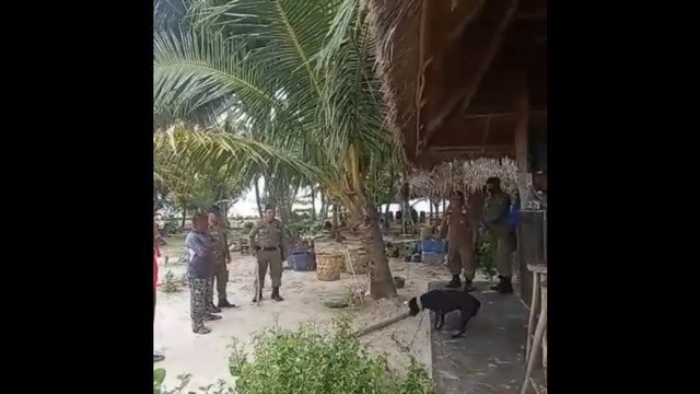 Tangkapan layar video yang beredar saat petugas mengevakuasi anjing di Pulau Banyak, Aceh Singkil. 