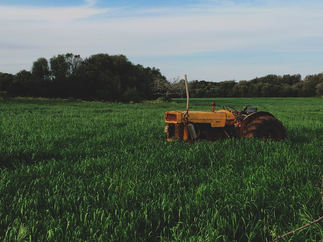 Ilustrasi penerapan Good Agriculture Practices Foto: dok. https://pixabay.com/