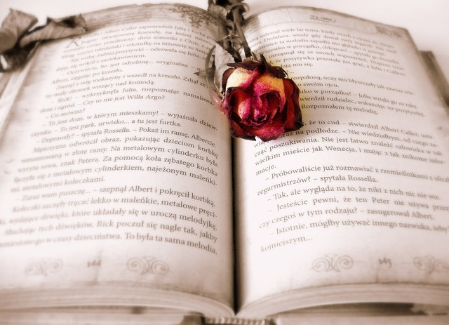 Novel sebagai karya sastra yang kaya minat (pixabay.com)