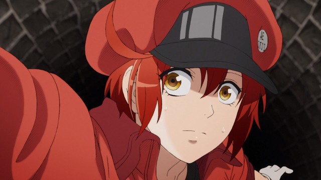 Jadwal Tayang Hataraku Saibou di NET TV, Petualangan Seru Sel Darah