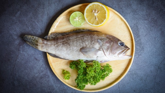 Ikan Kerapu, Sehatkah untuk Ibu Hamil? Foto: Shutterstock