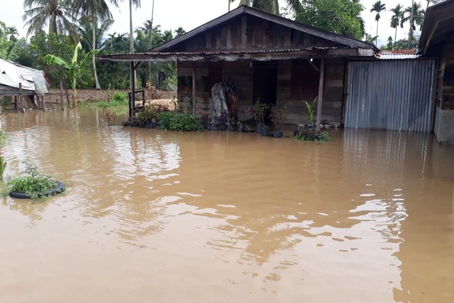Sembilan desa dalam tiga kecamatan di Kabupaten Aceh Tenggara, dilanda banjir luapan, Selasa (26/10). Foto: Dok. BPBA