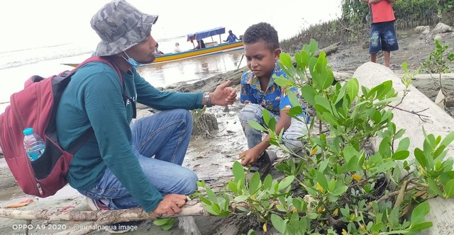 Tampak LBH melakukan investigasi hutan Mangrove di Teluk Bintuni