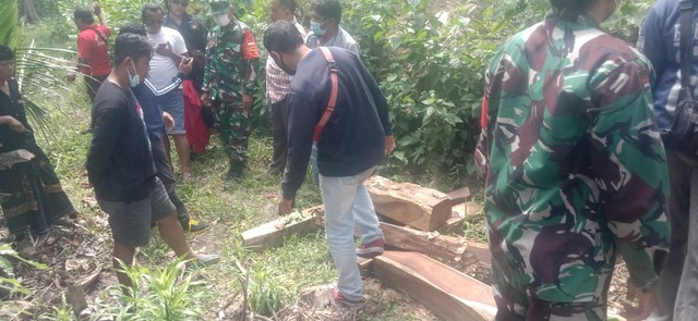Penebangan pohon sonokeling secara liar di Bali. Foto: Dok. Istimewa